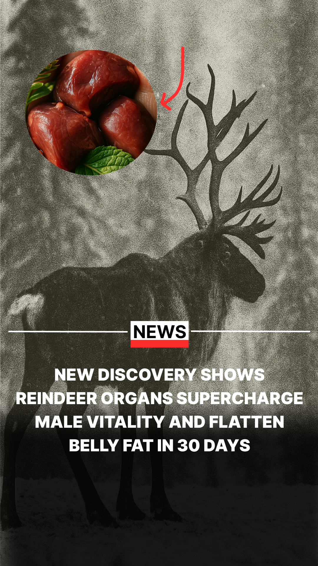 Primal Viking Facebook ad