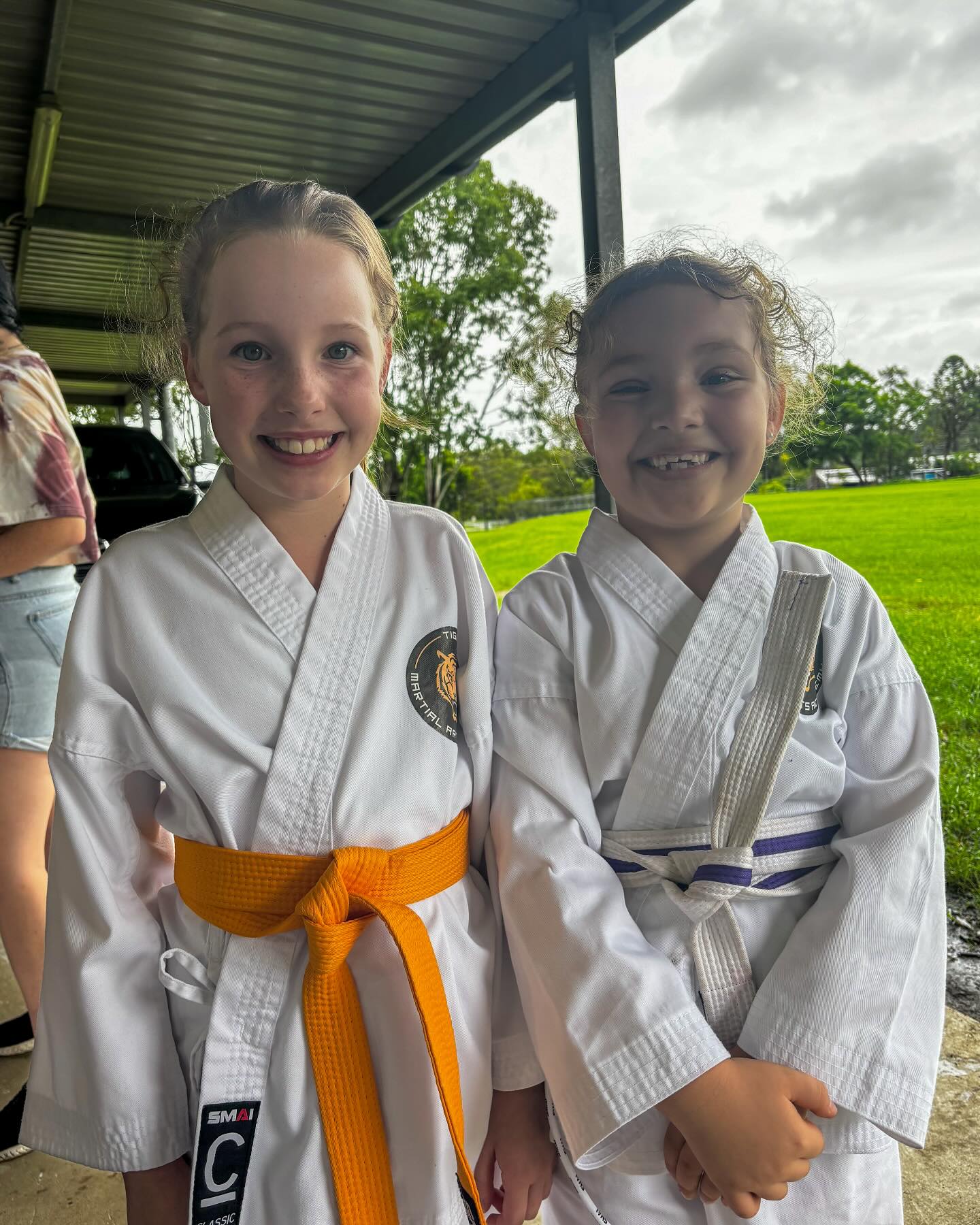 Tiger Martial Art Academy Facebook ad
