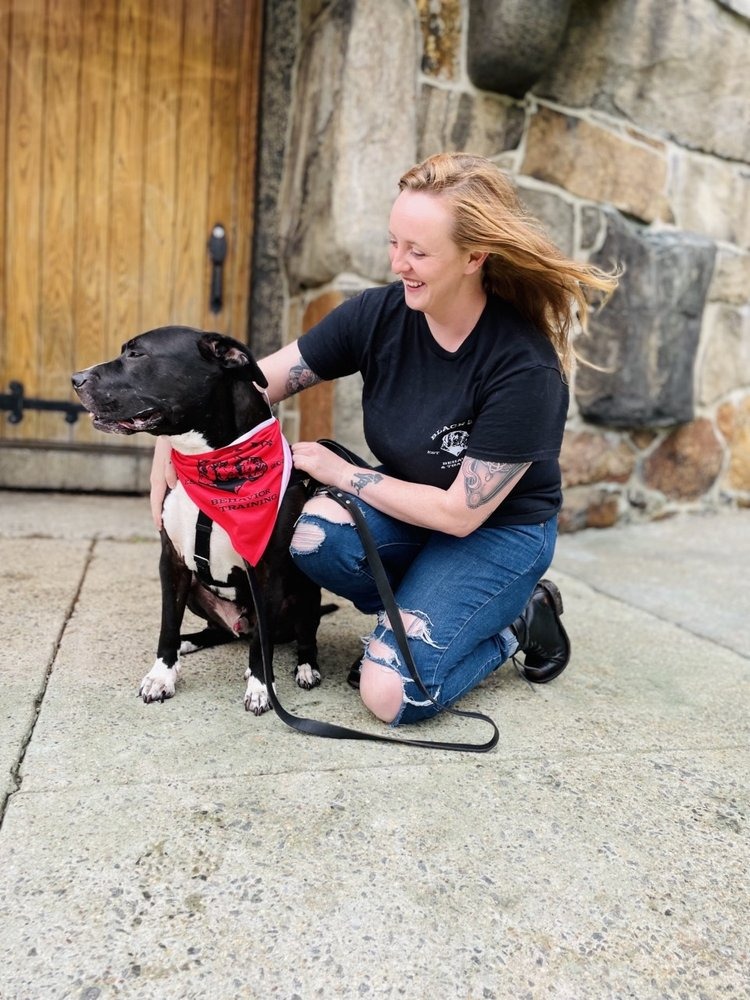 BlackDog Behavior and Training, LLC Facebook ad: Book an In-Home or Virtual Consultation