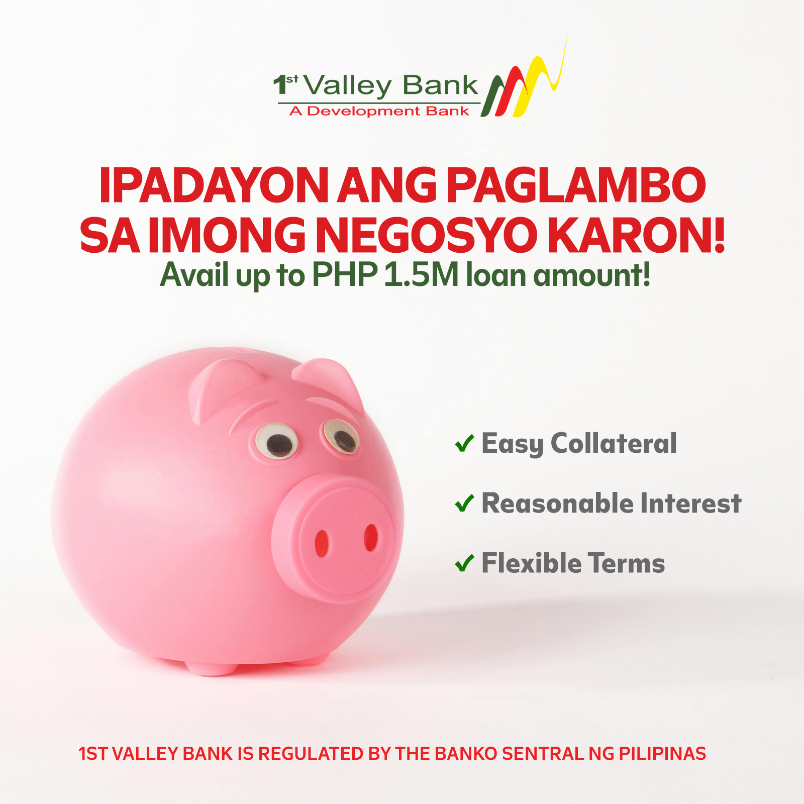 1st Valley Bank, Inc. Facebook ad