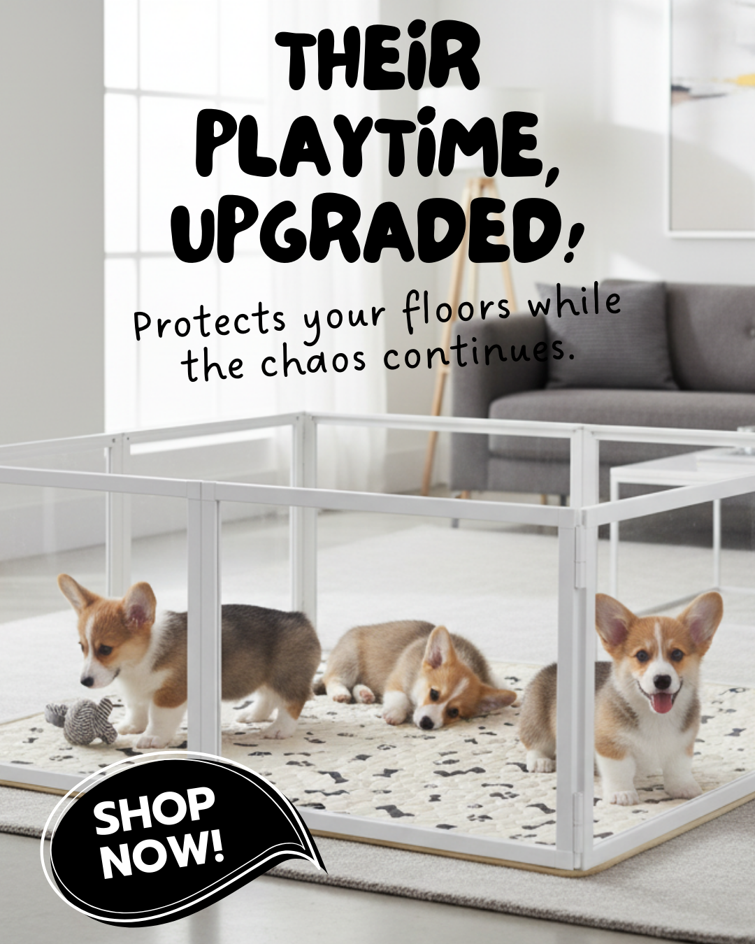 Potty Buddy Facebook ad