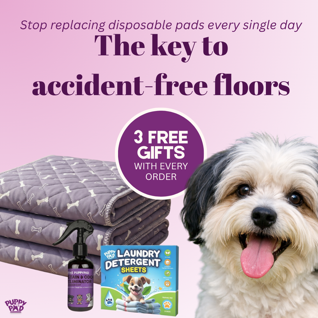 PuppyPad Facebook ad