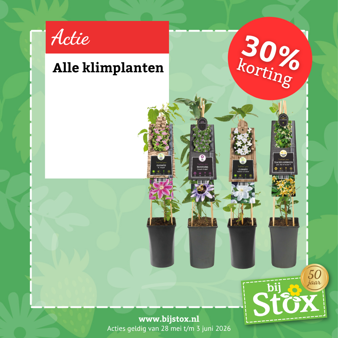 Tuincentrum BijStox Facebook ad