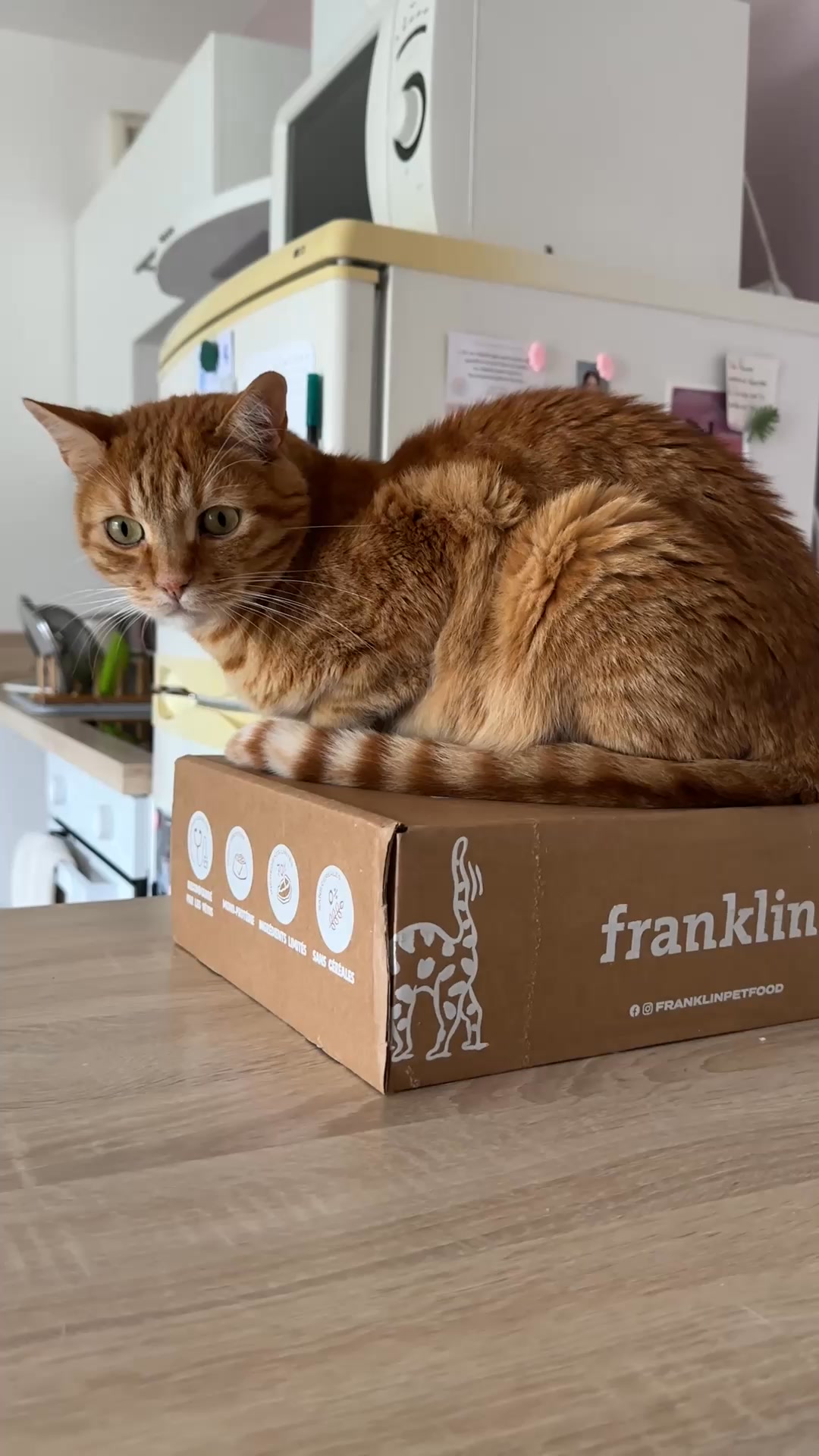 Franklin Pet Food Facebook ad: Des filets 100% naturels