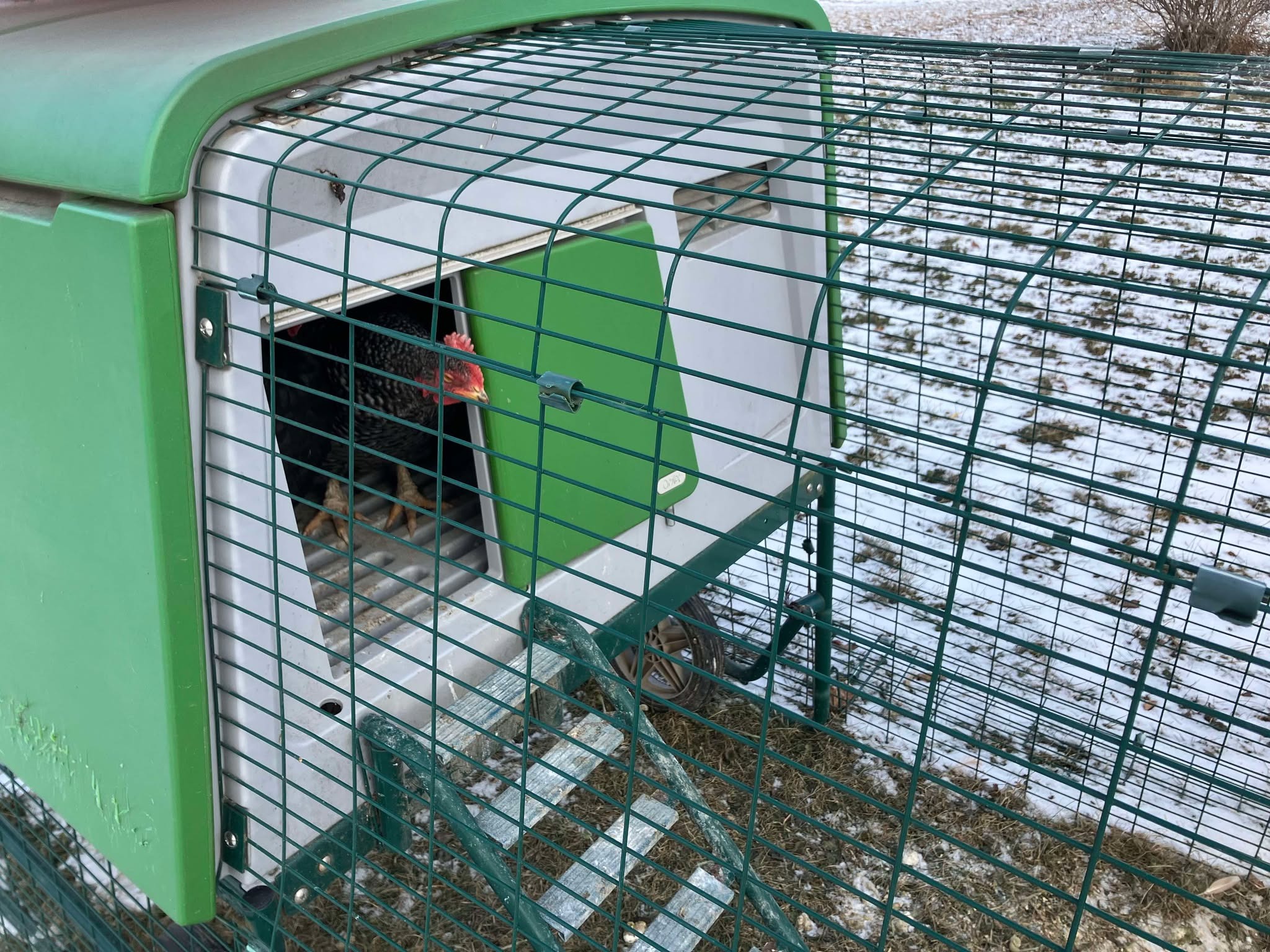 Omlet - Les produits pour vos animaux Facebook ad