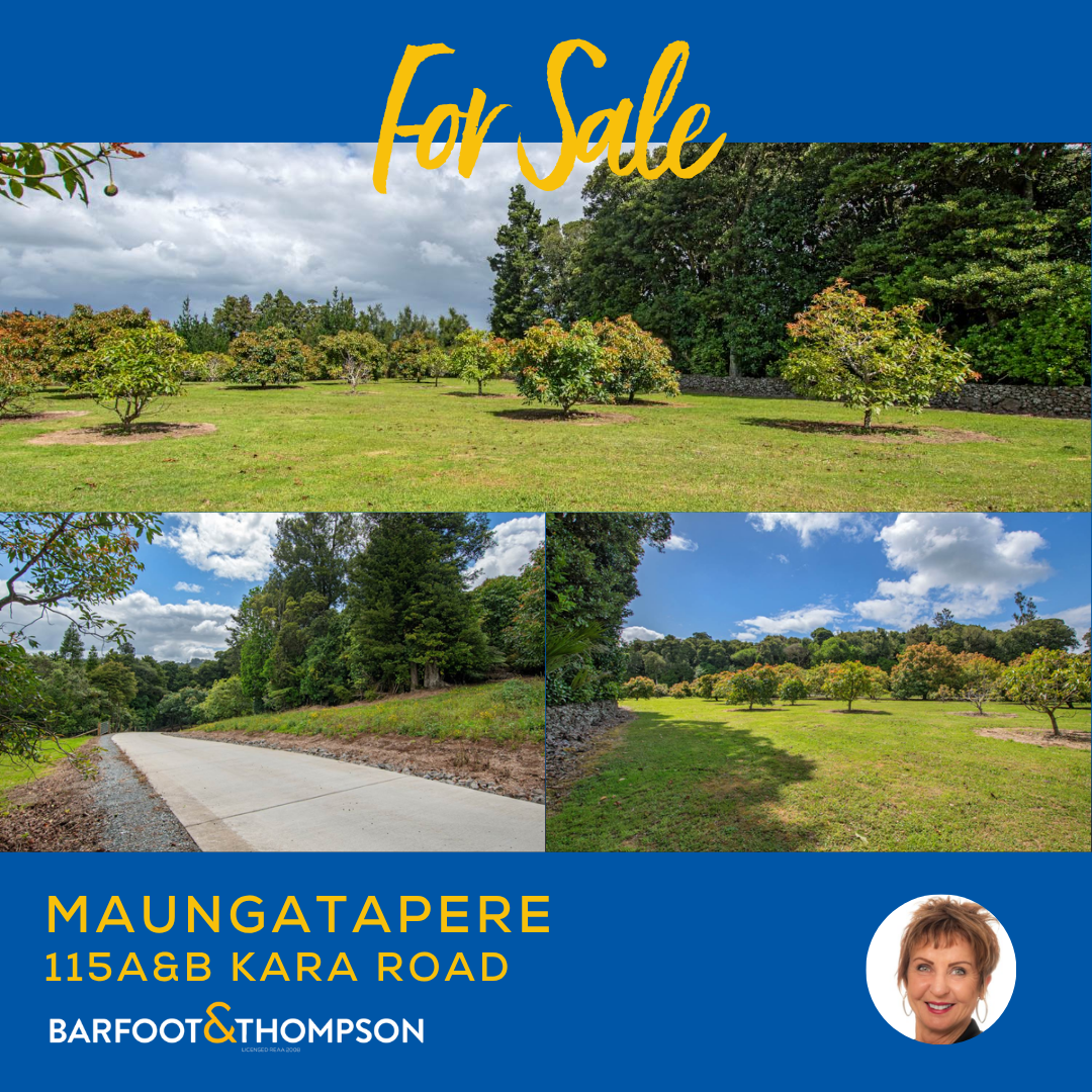 Barfoot & Thompson Whangarei Facebook ad: For Sale | 115A&B Kara Road, Maungatapere