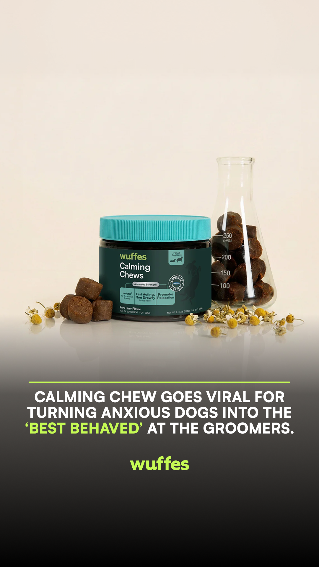 Wuffes Facebook ad