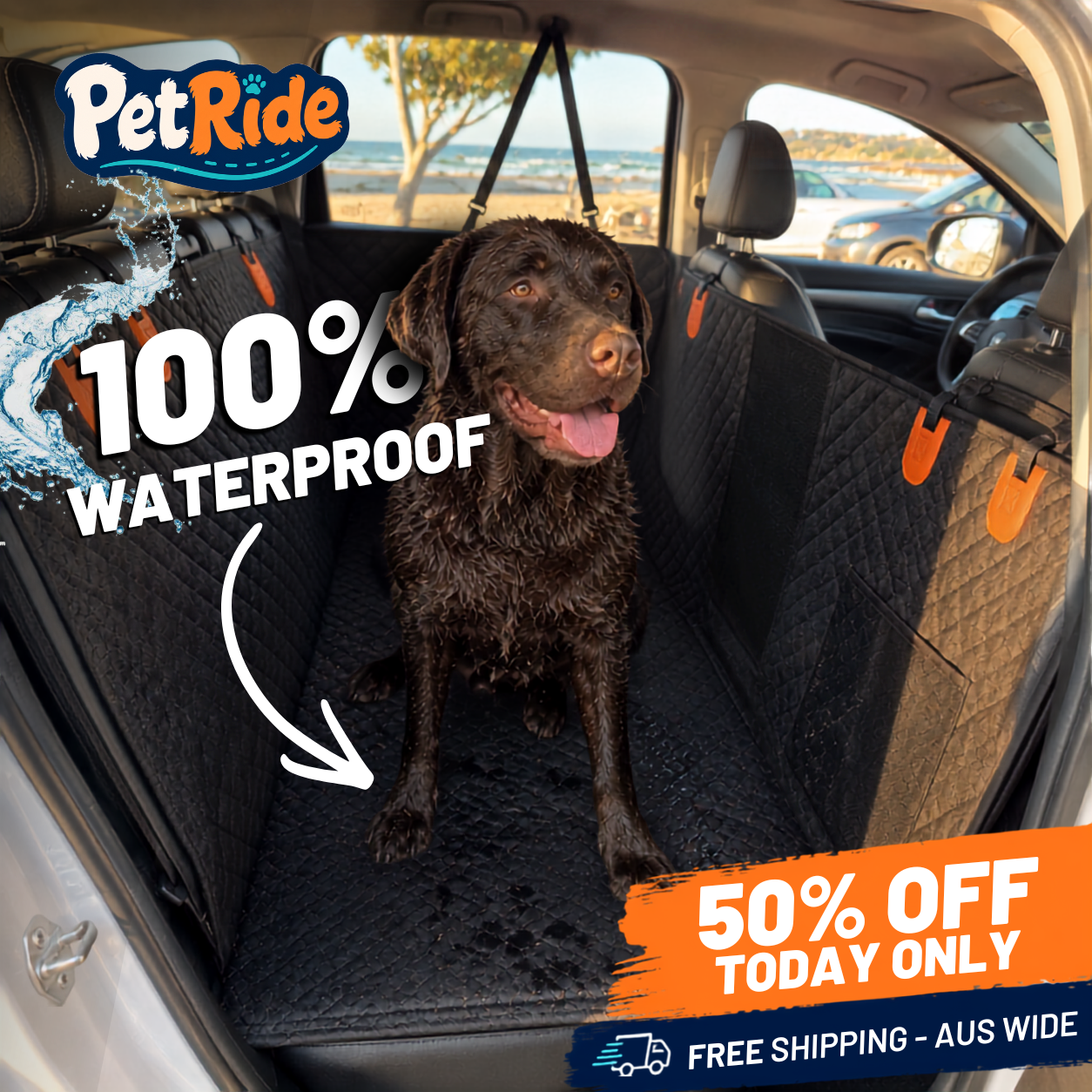 Pet Ride Facebook ad