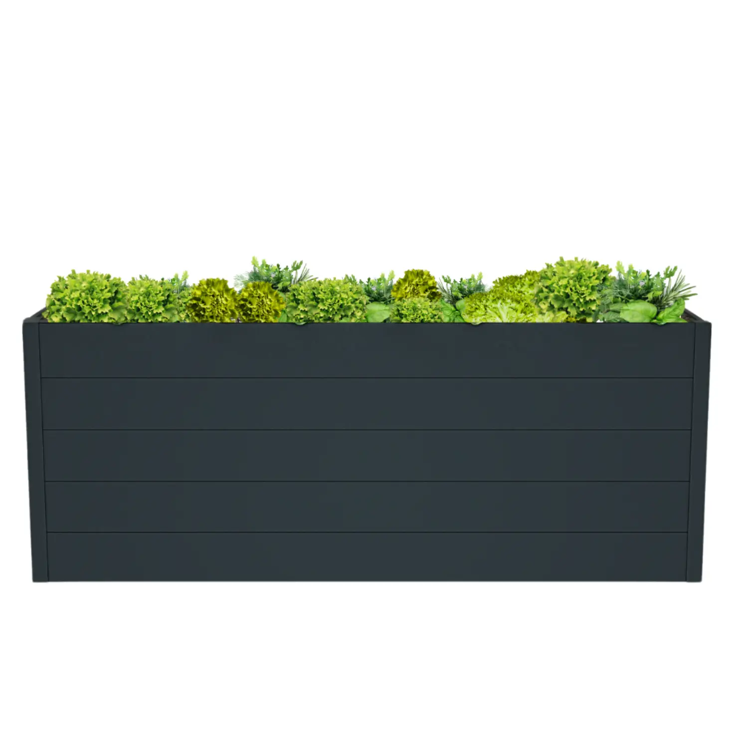 Mega-Holz.de Facebook ad: Dein Garten verdient das Beste!
