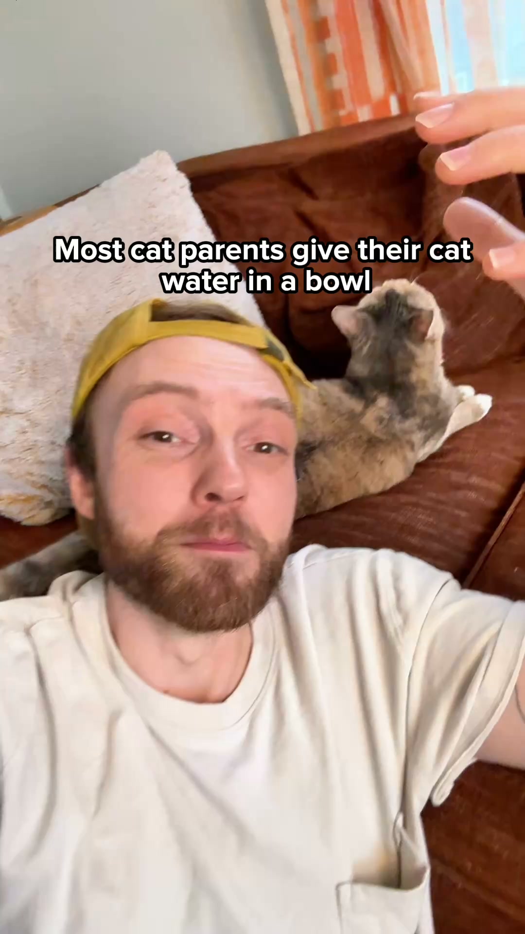 Daniel Mercer Facebook ad: The #1 Vet Recommended Cat Fountain