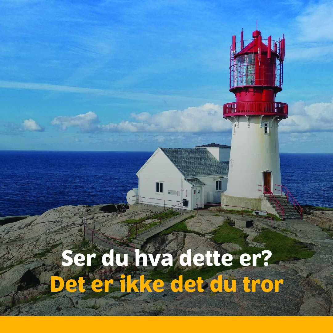 ice.no Facebook ad