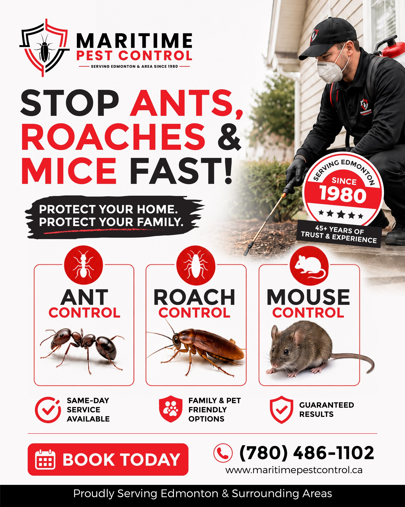Maritime Pest Control Facebook ad: Seeing ants, roaches, or mice in your home?