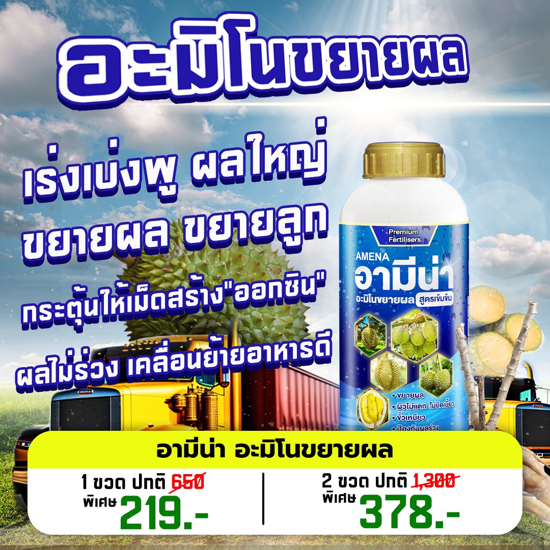 อามิน่า Amina ส่าหร่ายอะมิโน เปิดตาดอกทุเรียนสูตรพรีเมี่ยม มืออาชีพเลือกใช้ Facebook ad