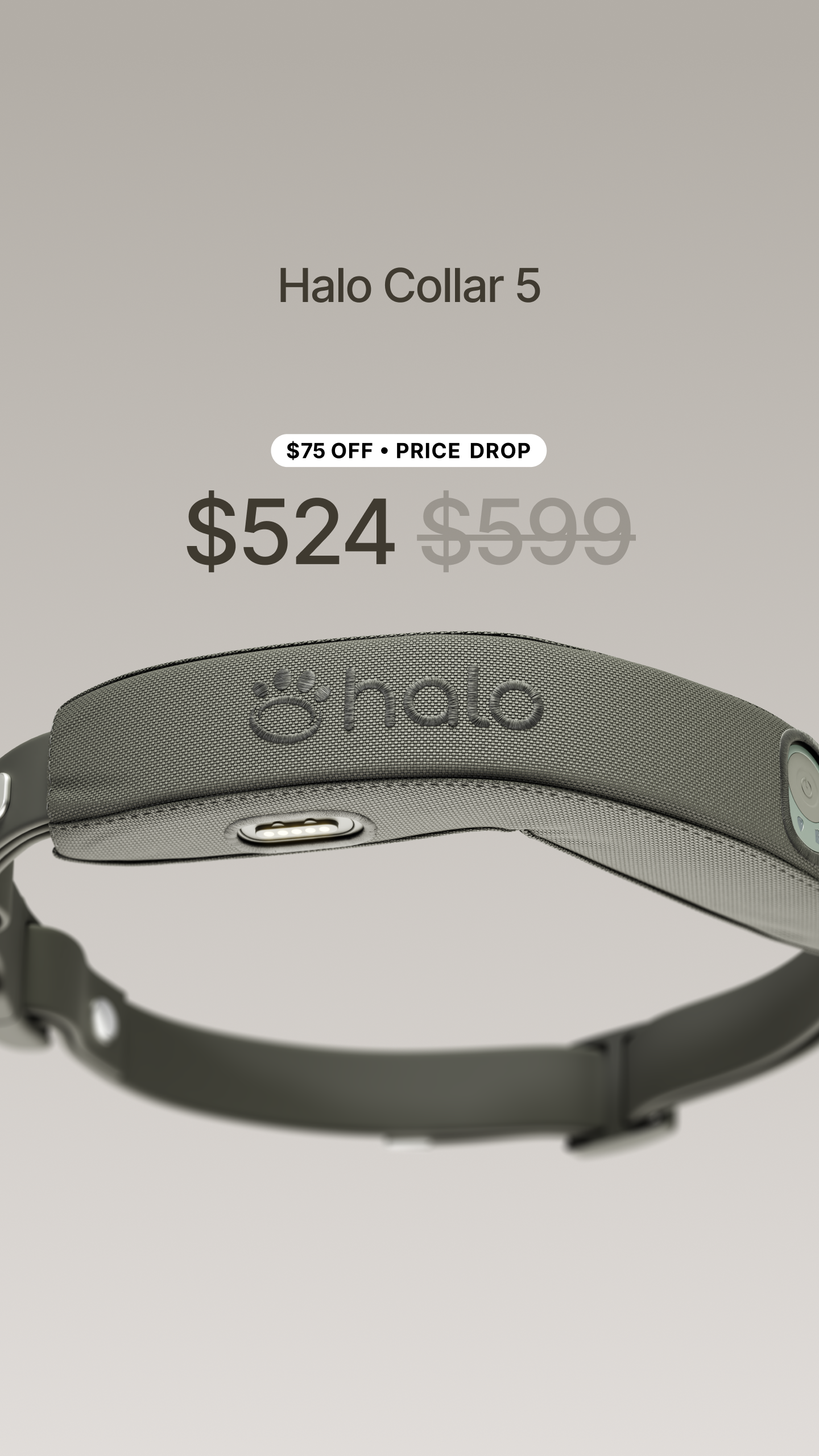 Halo Collar Facebook ad