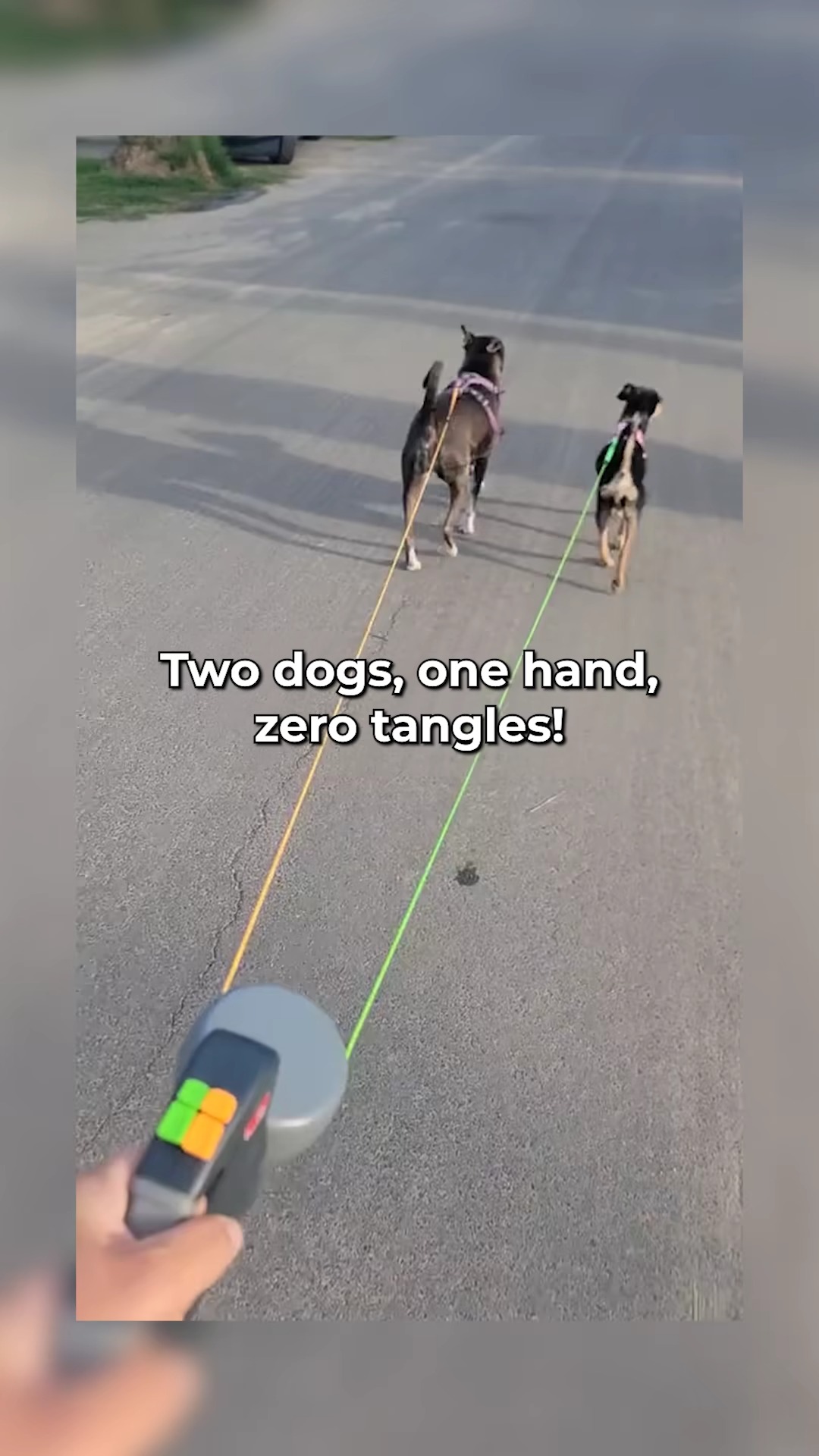 DogPlaybox Facebook ad: Tangle-Free Dual Dog Leash