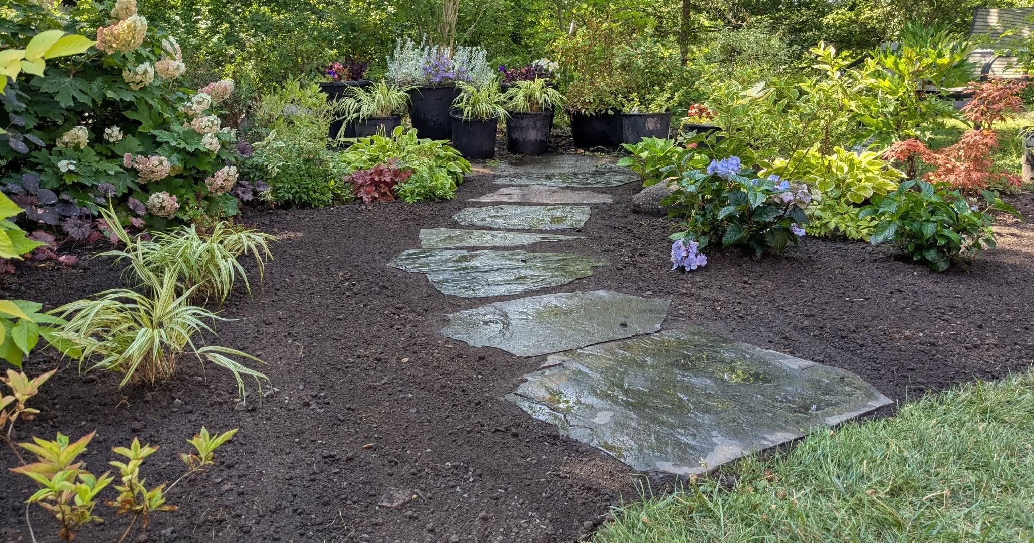 Scenic Coast Landscaping Co. Facebook ad: Offering property cleanup, landscape consulting…