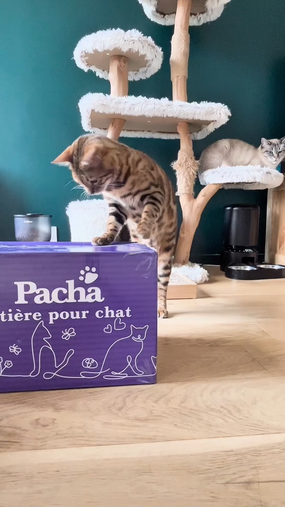 Marion V. Facebook ad: Honnêtement, j’ai été bluffée…