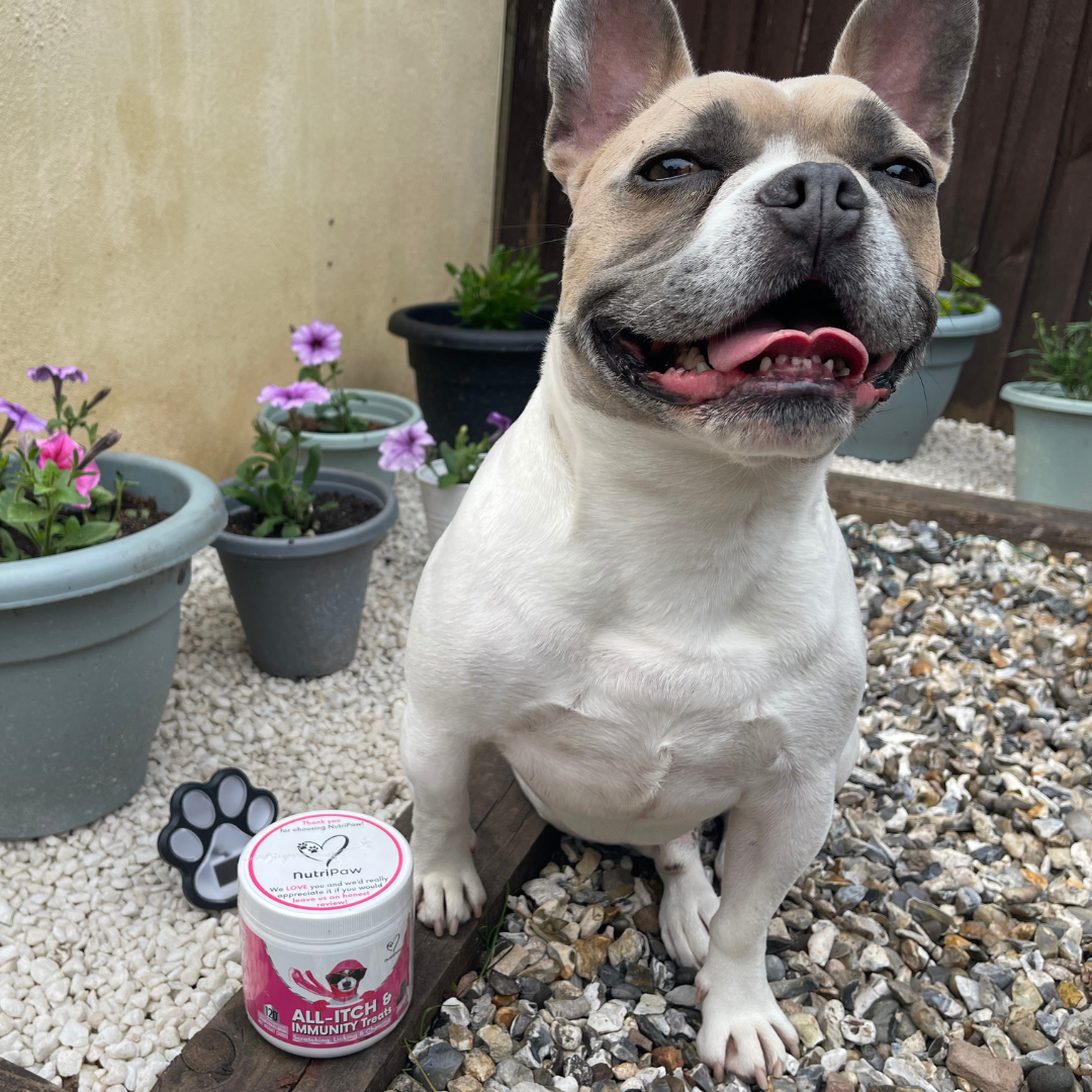 Nutri Paw Facebook ad