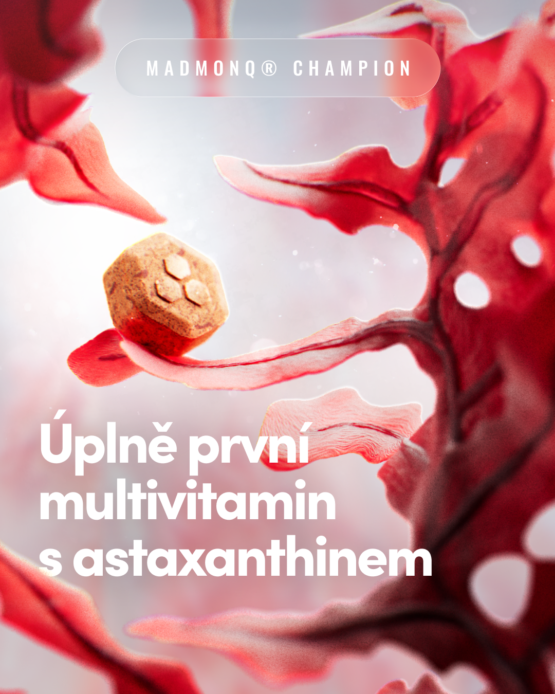MADMONQ Facebook ad: CHAMPION všech vitaminů přichází