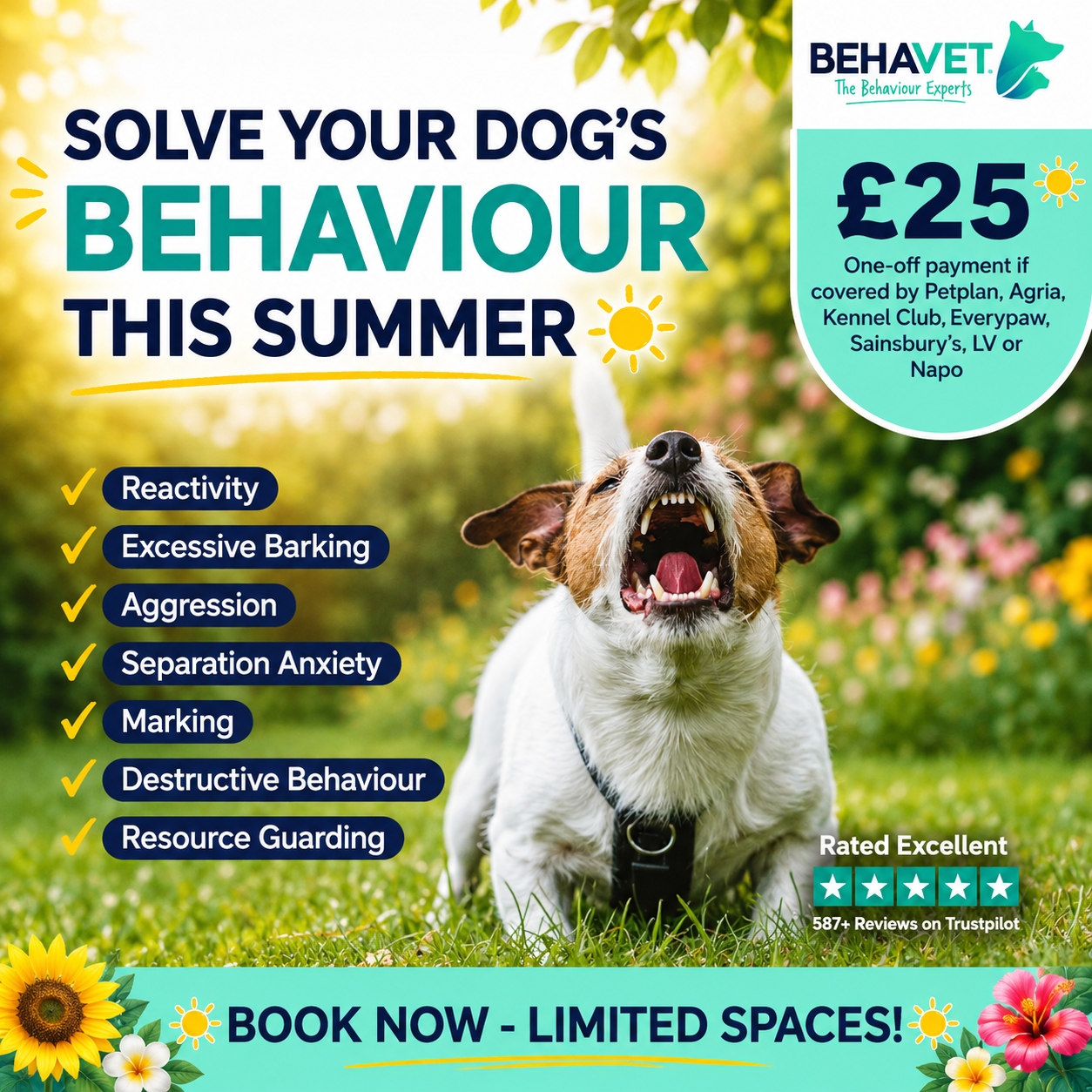 Behavet: The Pet Behaviour Experts Facebook ad