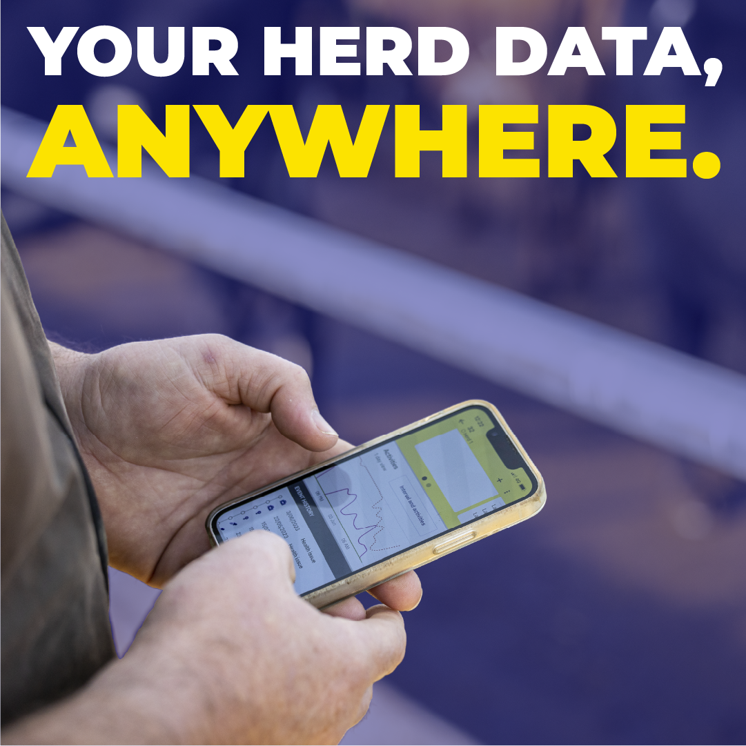 Datamars Livestock NZ Facebook ad: Pocket data