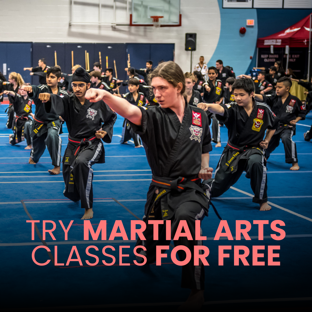Sun Hang Do Martial Arts Abbotsford Facebook ad