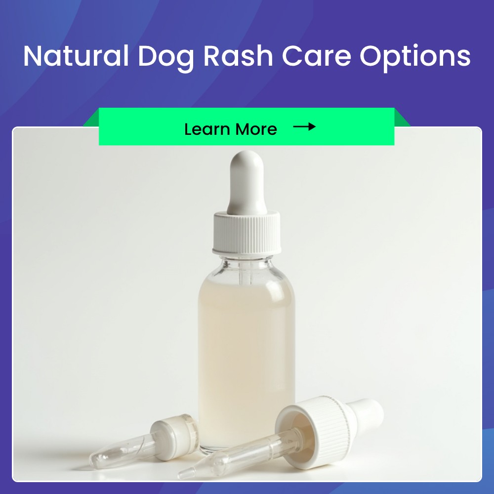 SearchLynk Route Facebook ad: Reveal Remedies For Dog Irritations.