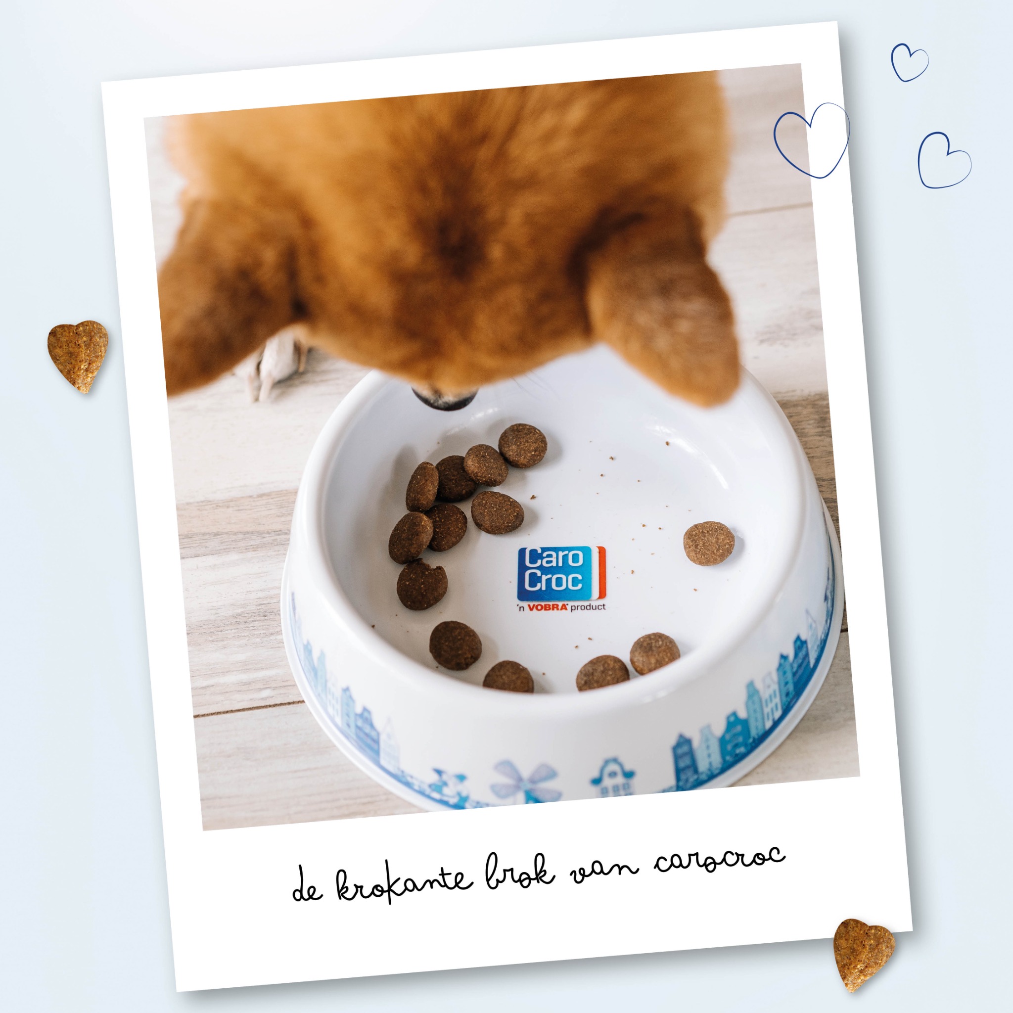 CaroCroc honden- en kattenvoer Facebook ad: Weet jij waar het voer van jouw hond…