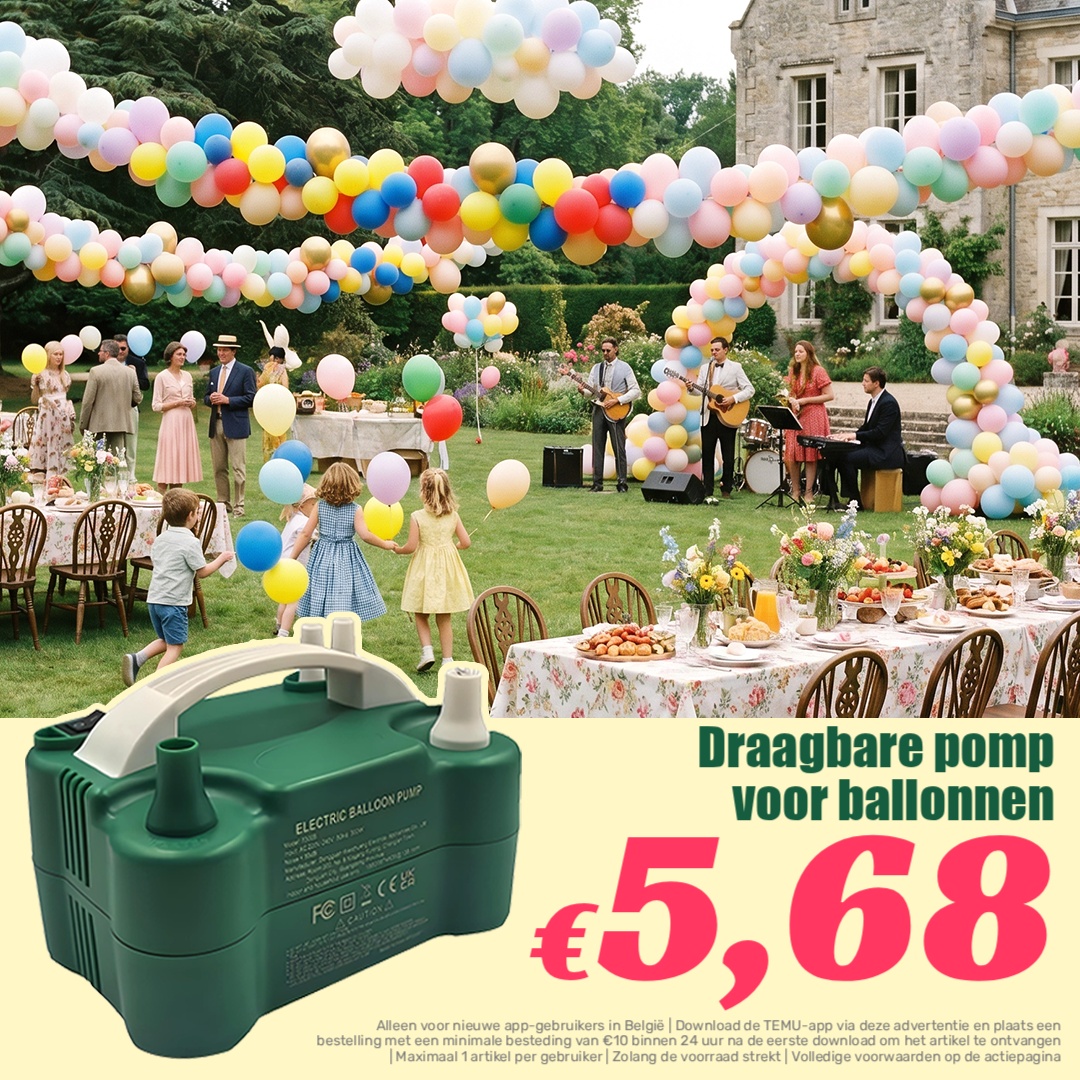 Temu Belgium Facebook ad