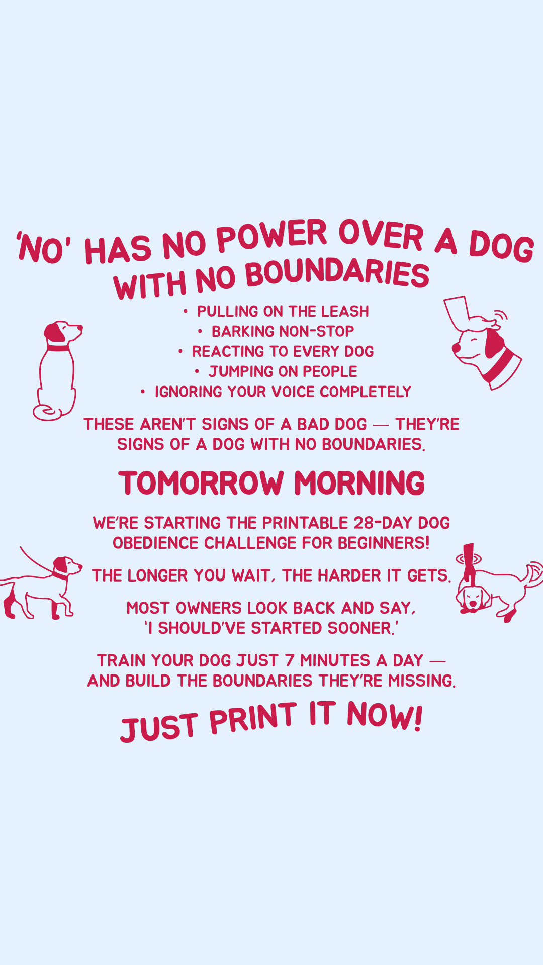 28 Day Dog Obedience Challenge Facebook ad