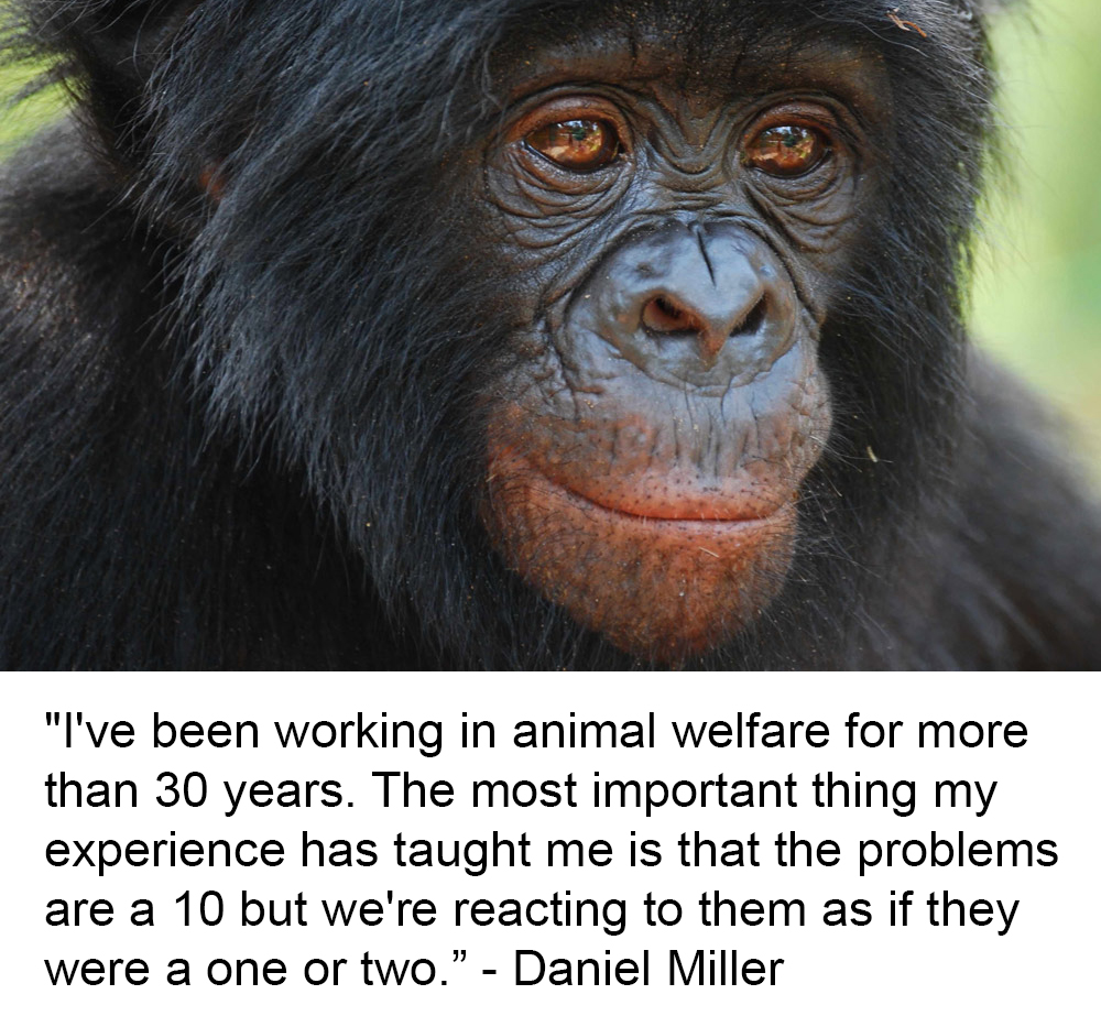 Animal Matters Facebook ad