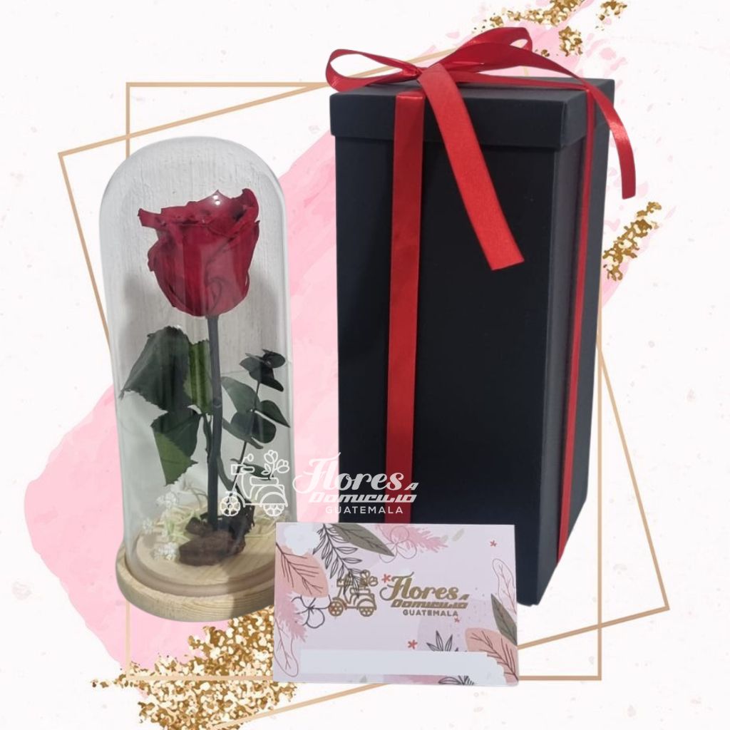 Flores a Domicilio Guatemala Facebook ad: Regalos exclusivos.
