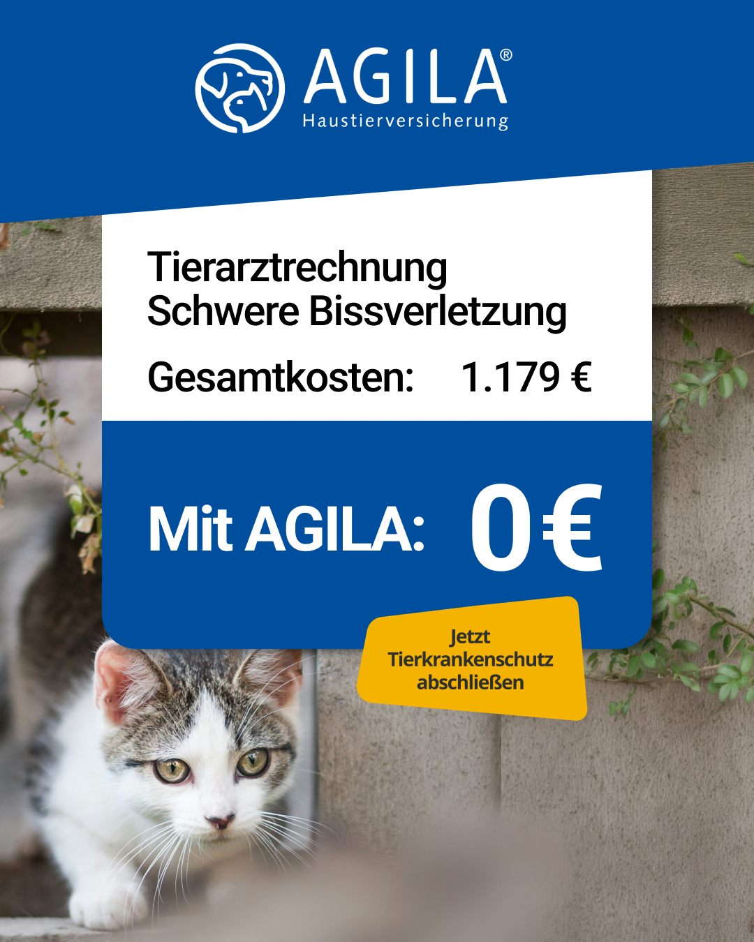 AGILA Haustierversicherung Facebook ad: AGILA Katzenversicherung