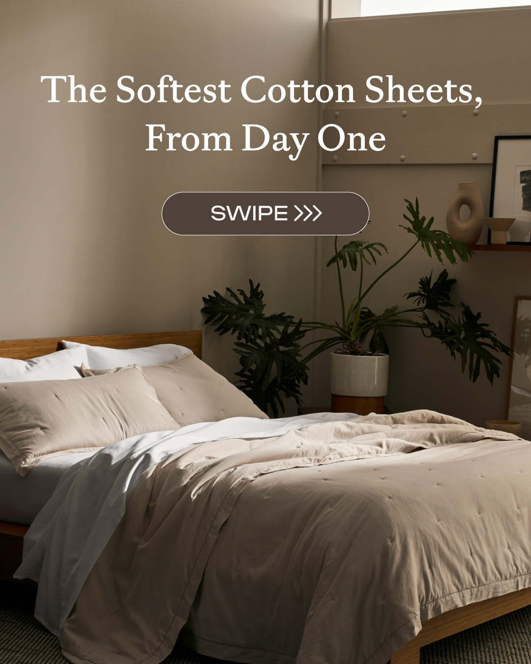 Cozy Earth Facebook ad
