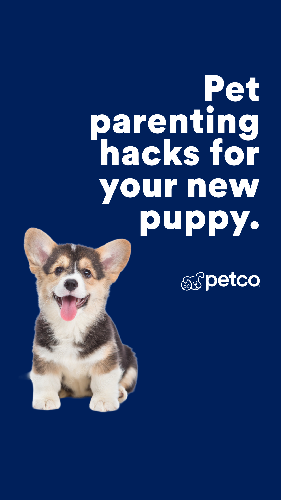 Petco Facebook ad
