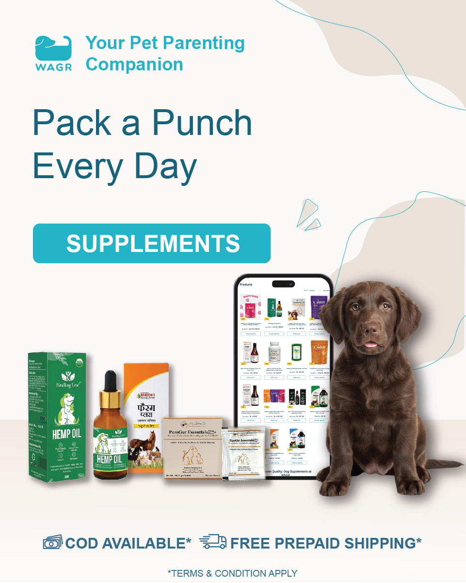 Wagr Facebook ad: Less Searching. More WAGR.