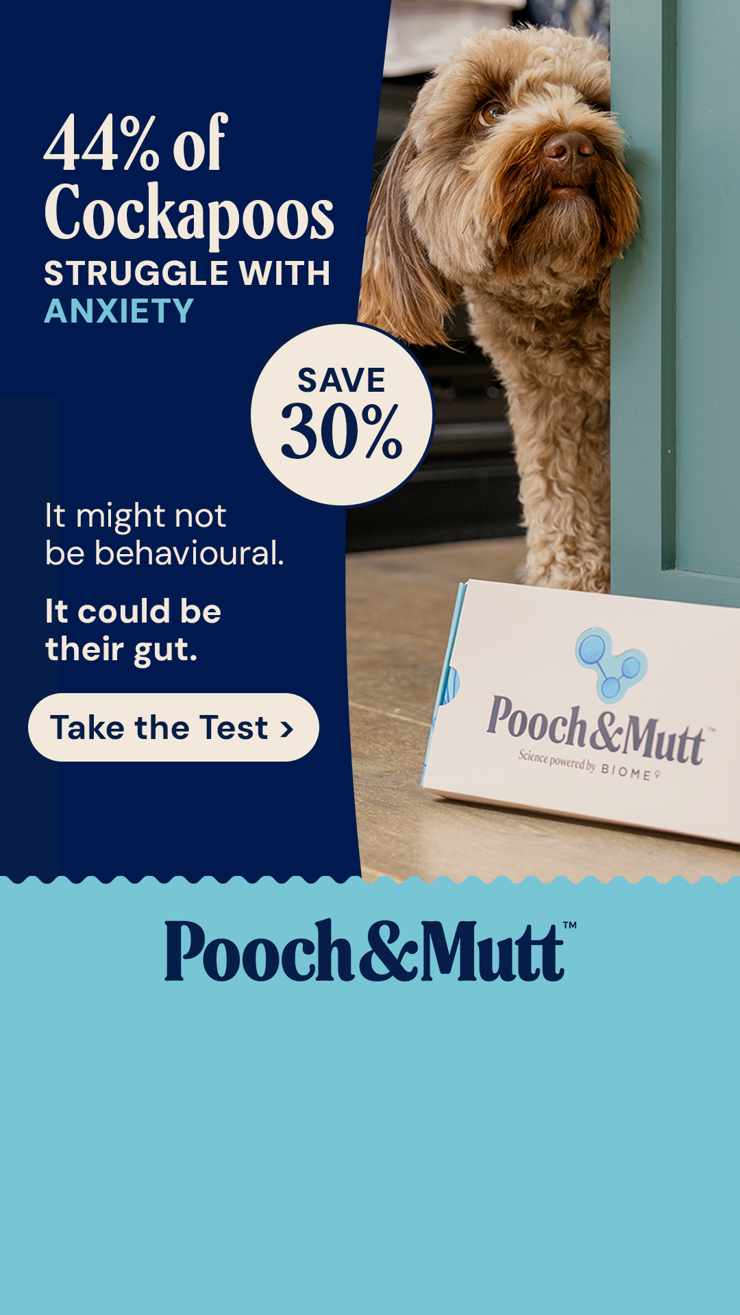 Pooch & Mutt Facebook ad