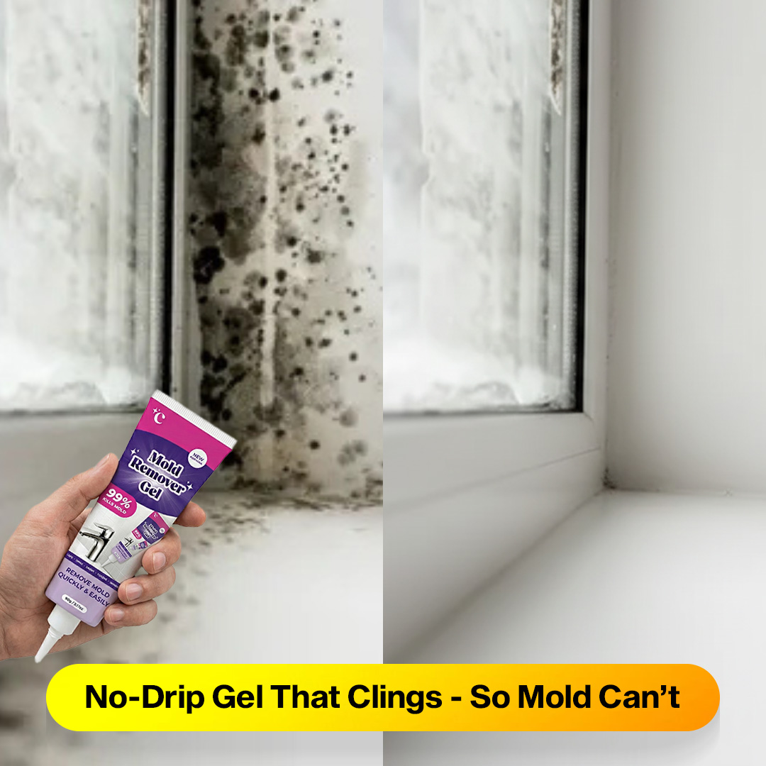 Home Cleaning Hacks Facebook ad: Why Mold Keeps Coming Back