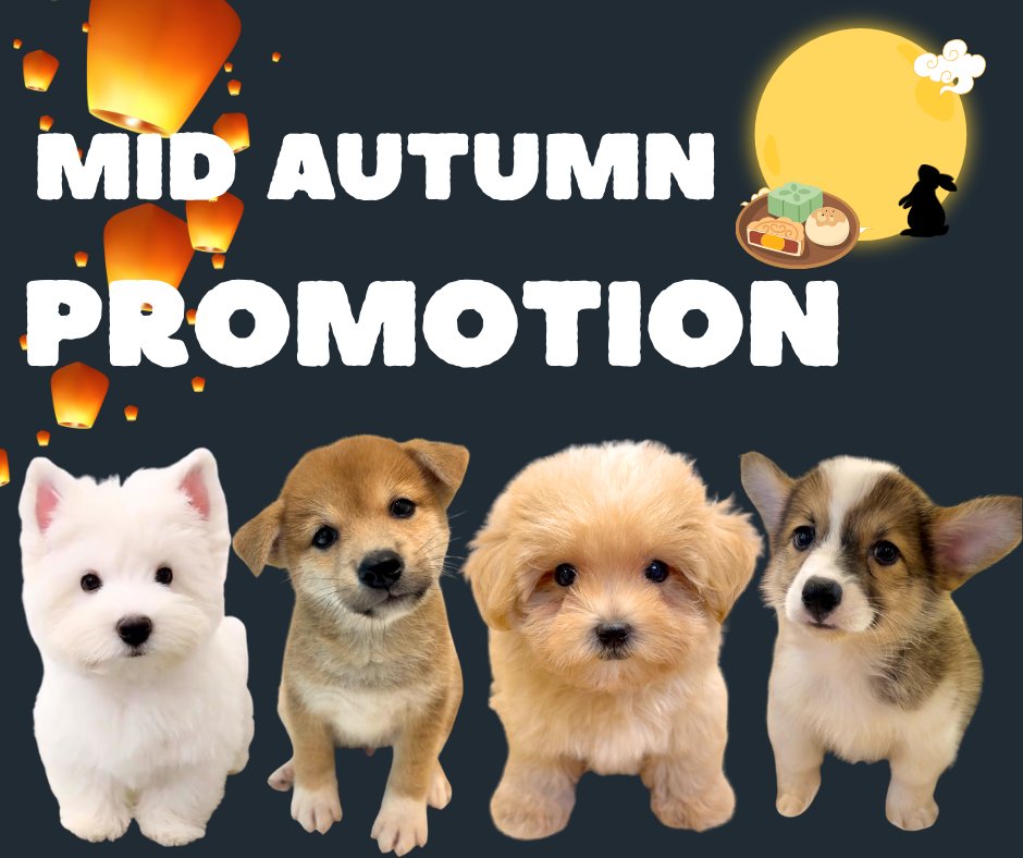 JuJuba Pets 聚聚吧 宠物宝宝の家 Facebook ad