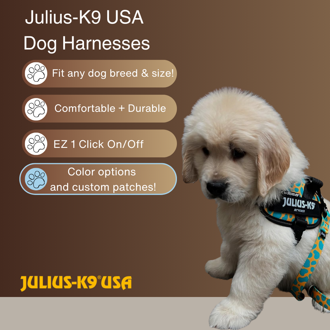 Julius-K9 Facebook ad: Julius-K9 Harnesses = Cute + Comfortable