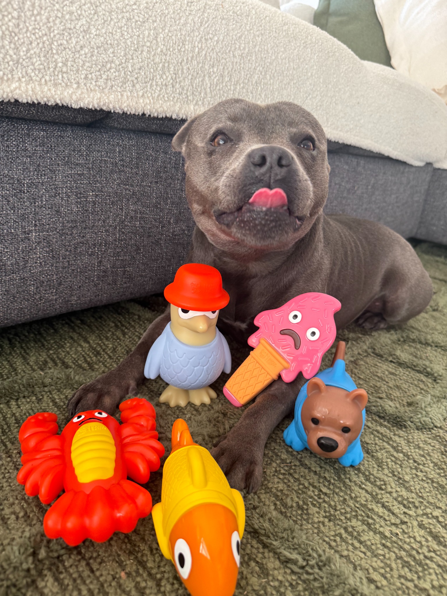 Happy Staffy Co. Facebook ad