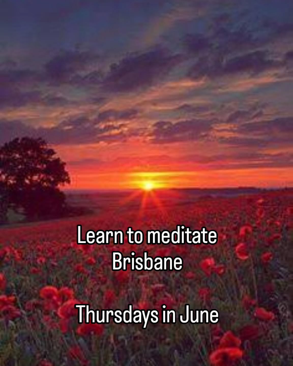 Meditation Brisbane Facebook ad: Sri Chinmoy Centre