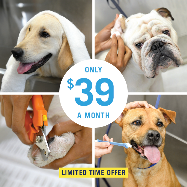 Scenthound Facebook ad: Health, not Just Haircuts