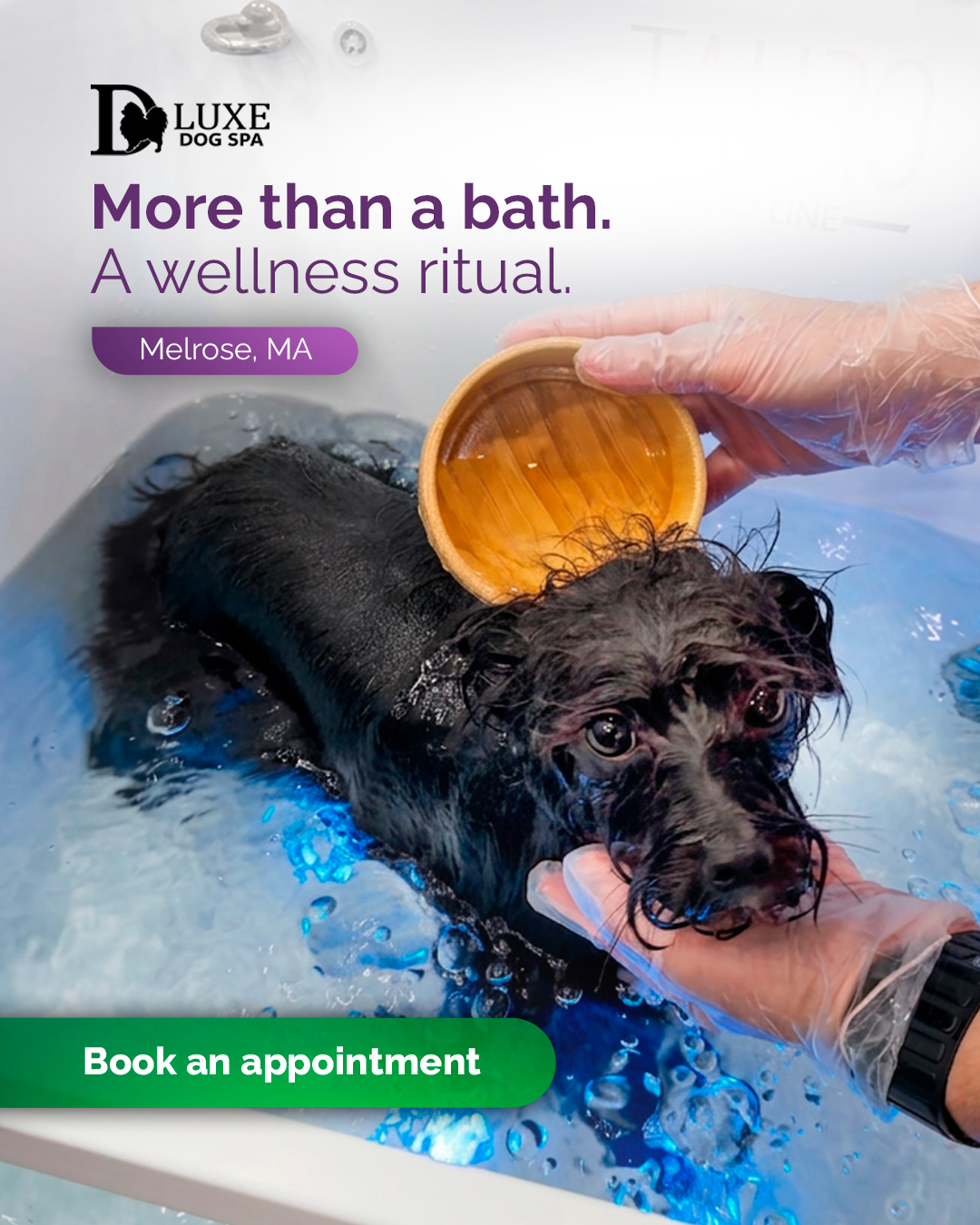 D Luxe Dog Spa Facebook ad: Request Your Grooming Appointment