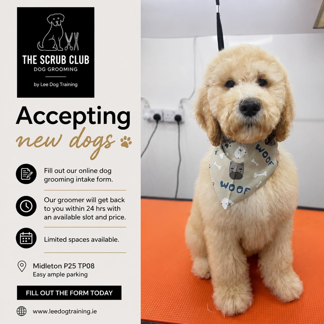 Lee Dog Training Facebook ad: Dog Grooming Midleton | The Scrub Club at Lee Dog Training