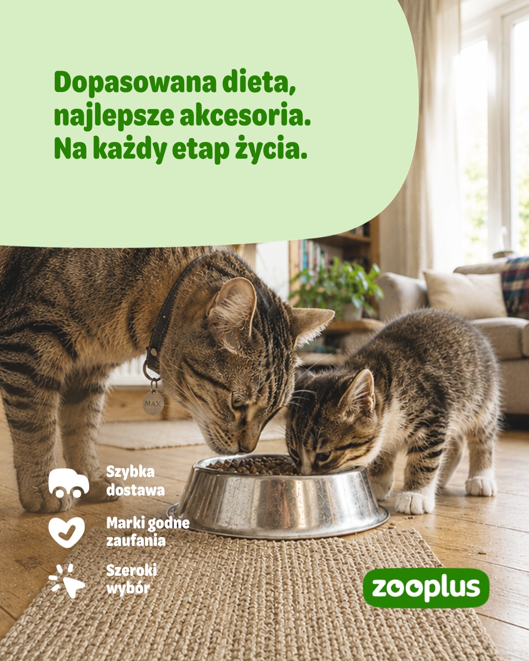 zooplus Facebook ad
