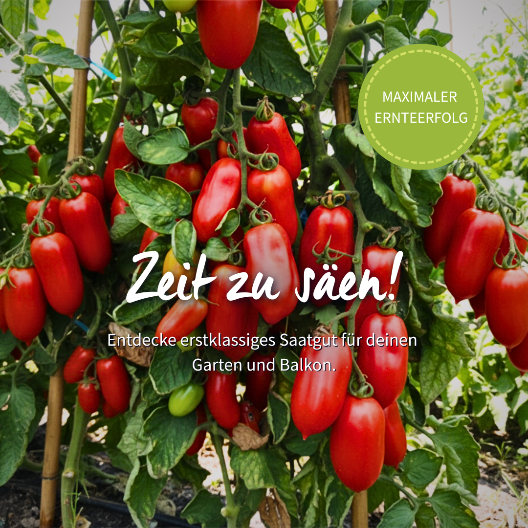 Samenfritze Facebook ad