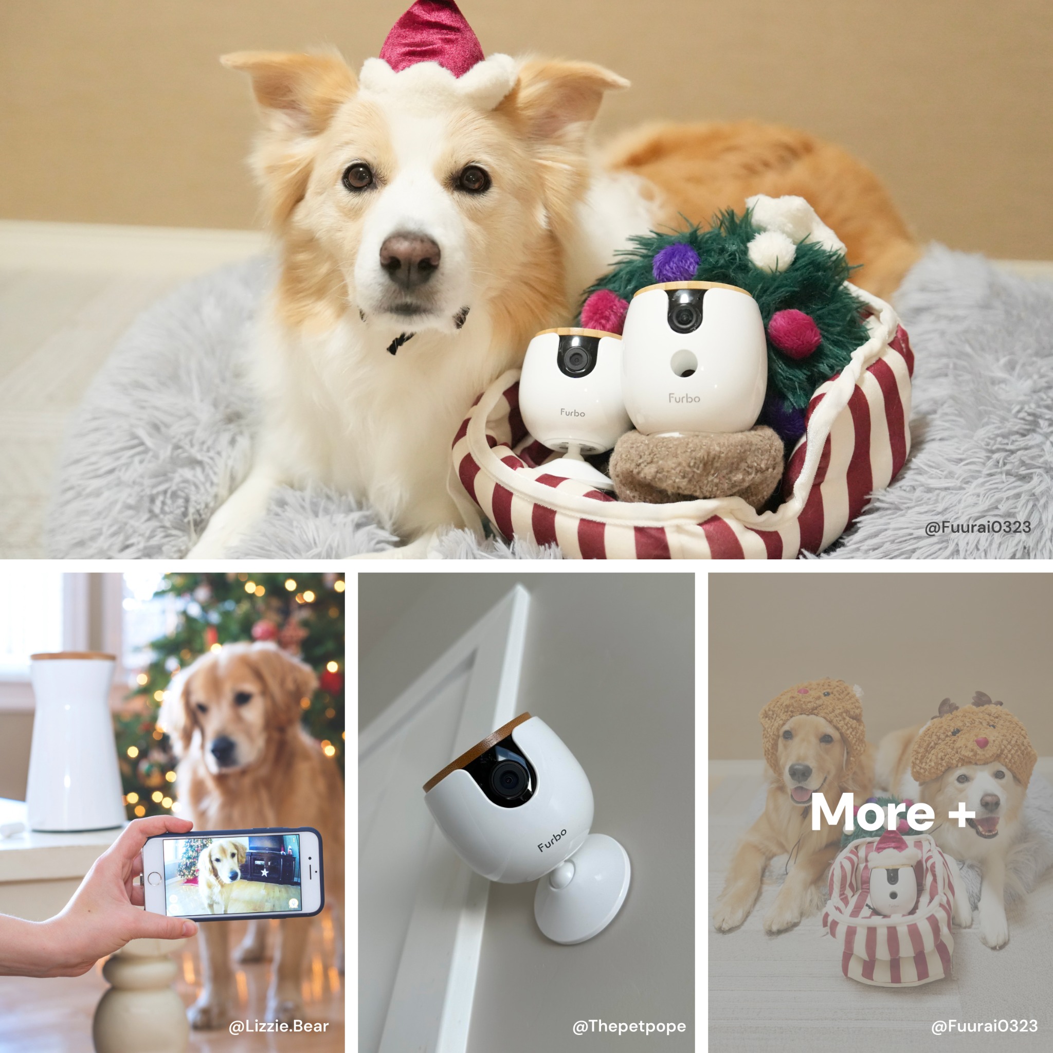 Furbo 寵物攝影機 Facebook ad