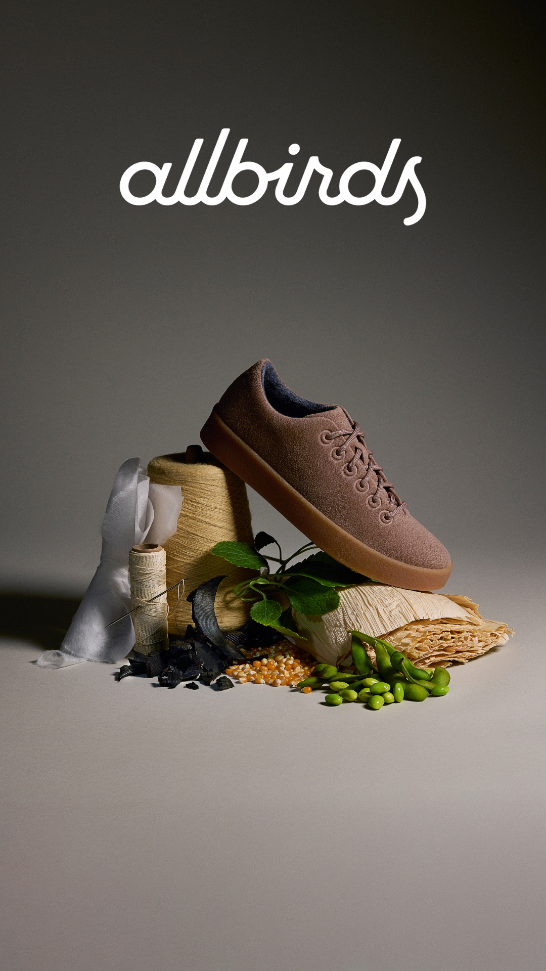 Allbirds Facebook ad