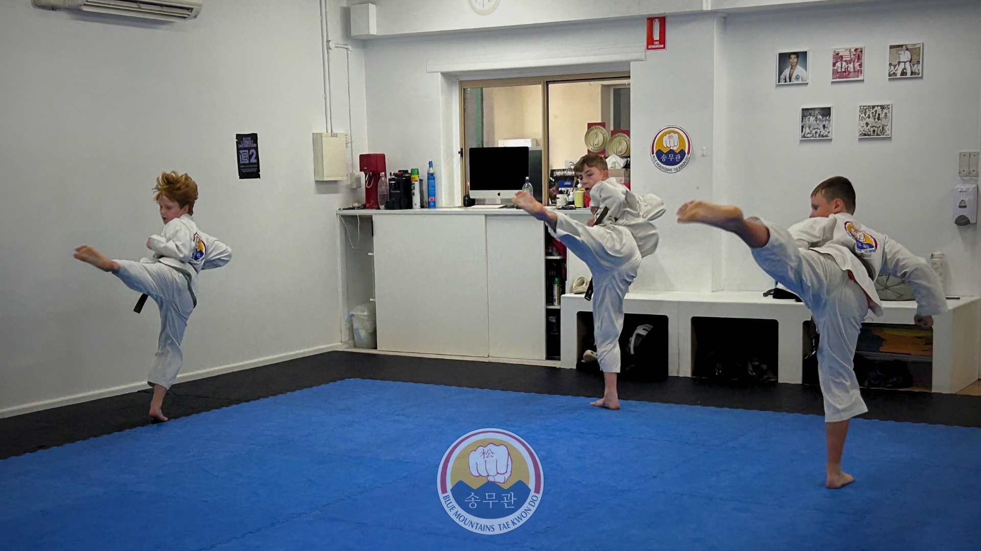 Blue Mountains Taekwondo Facebook ad